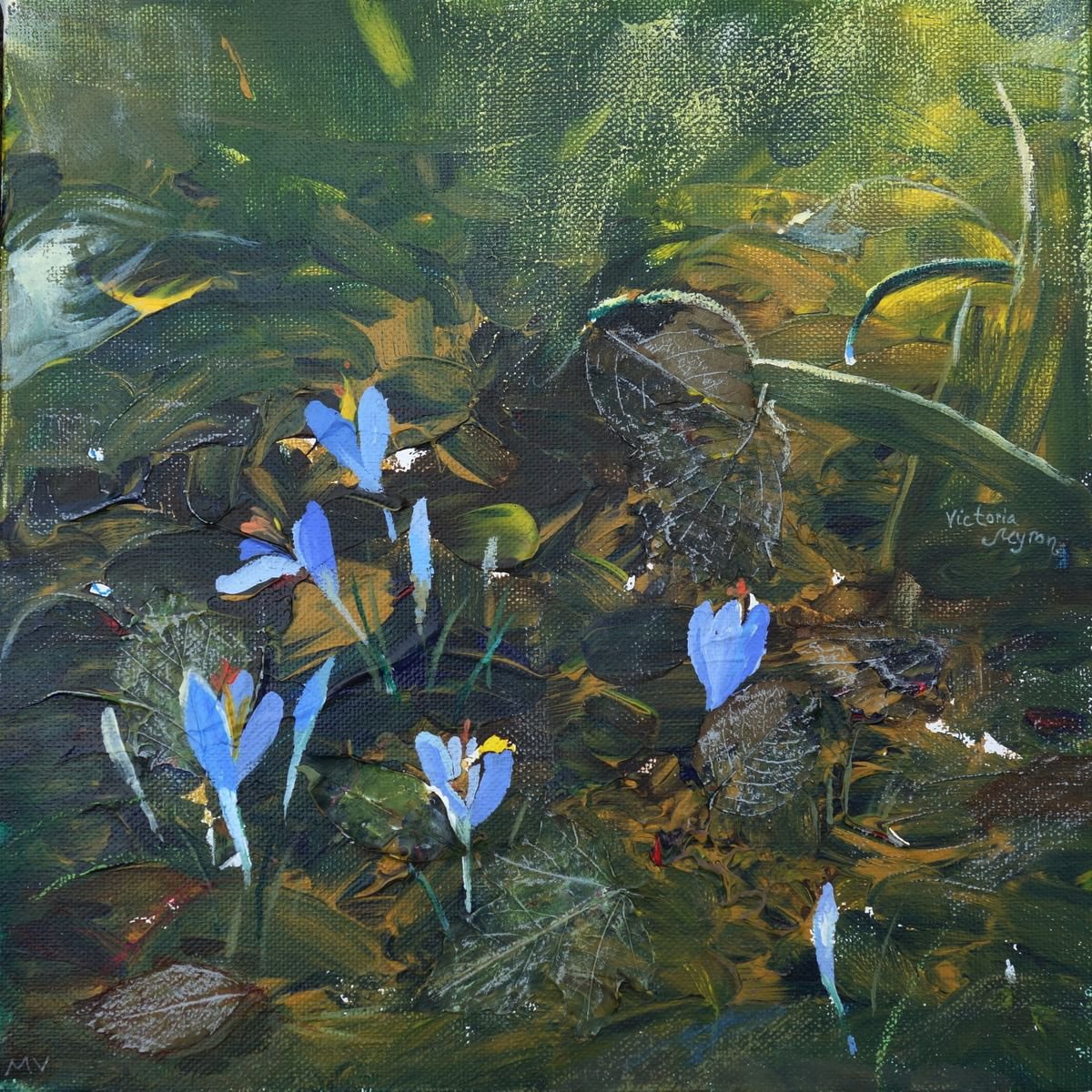 Spring crocuses. by Victoria Mironenko Myron