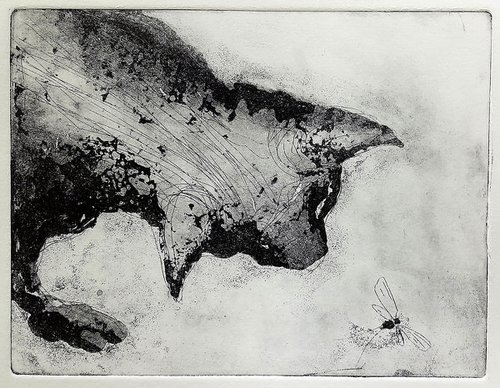 CAT and DAMSEL FLY hand printed etching by Mark Lloyd Williams