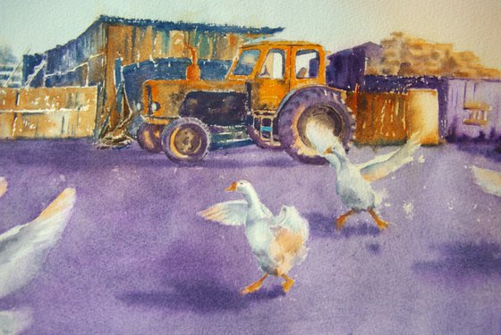 Dancing geese