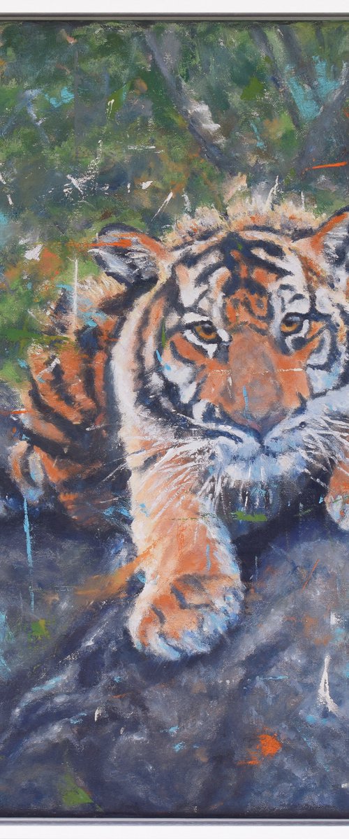 Tiger Cub portrait - expressive animal art - Framed Oil On Canvas by Shaun Burgess