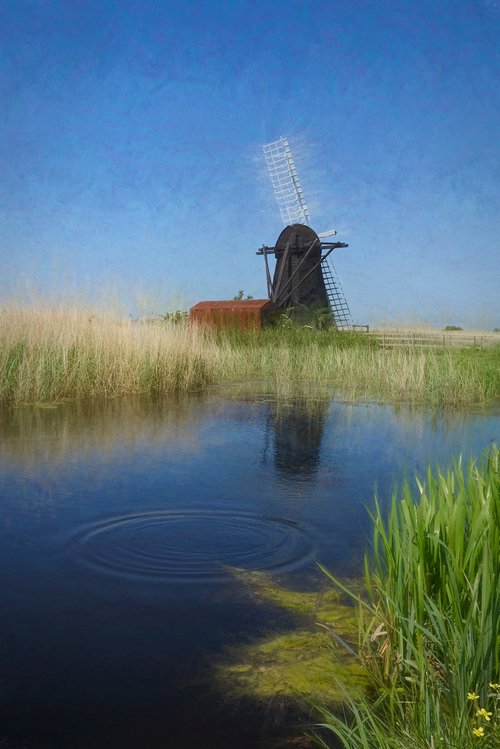Herringfleet Windmill by Martin  Fry