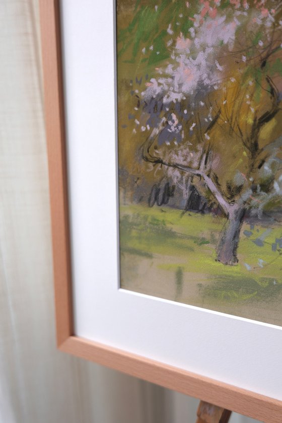 In a blossoming park