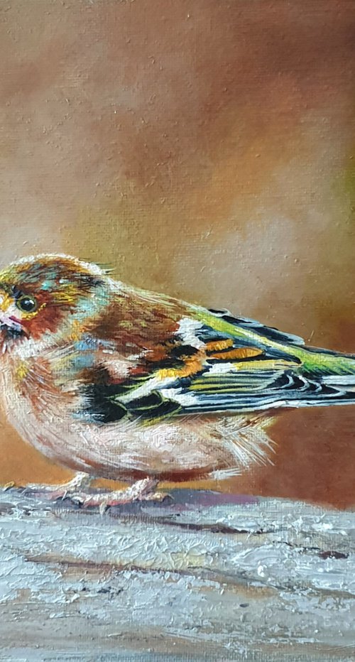 "Little bird. " by Anna Bessonova (Kotelnik)