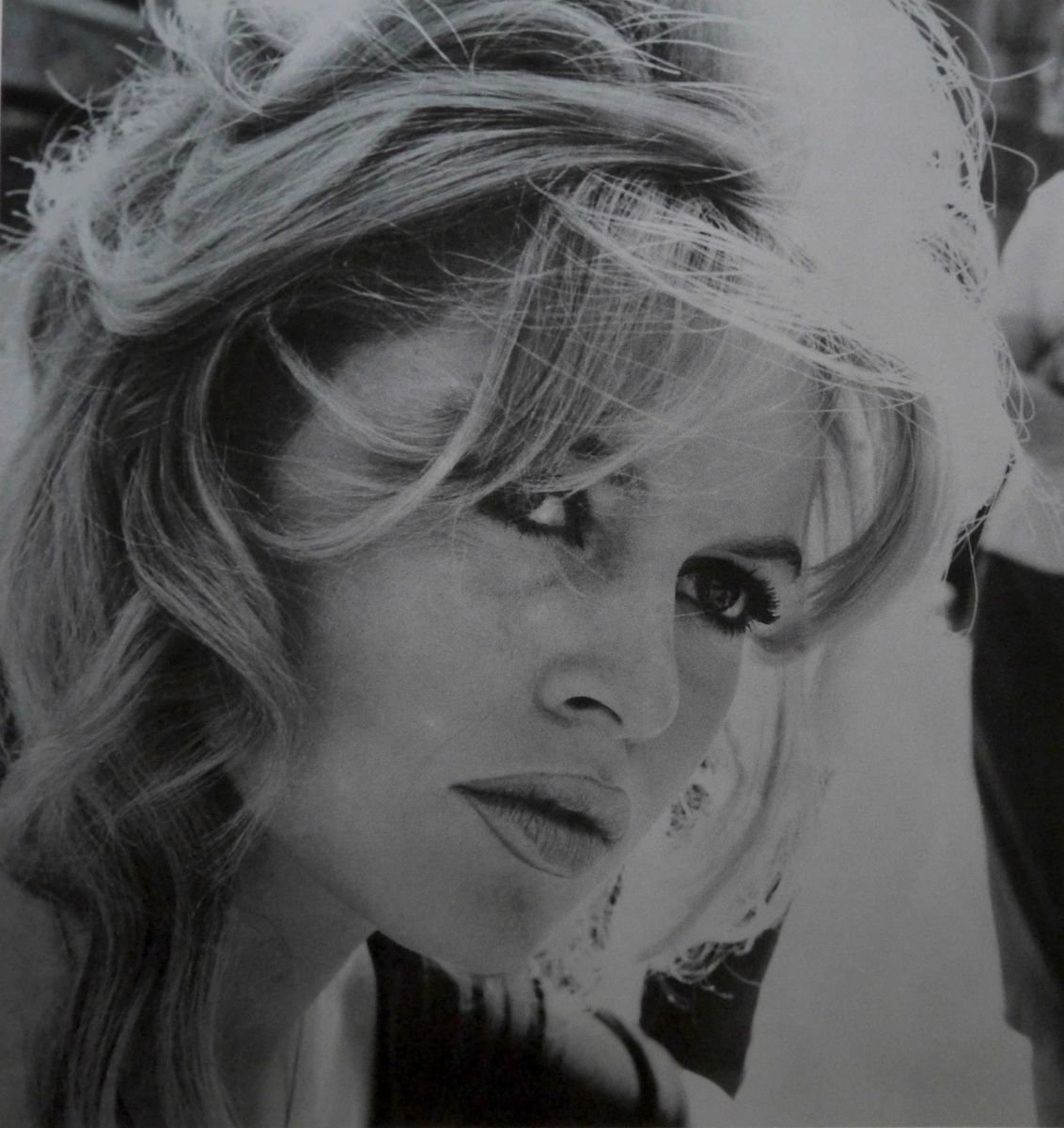 Brigitte Bardot-Silver by David Studwell