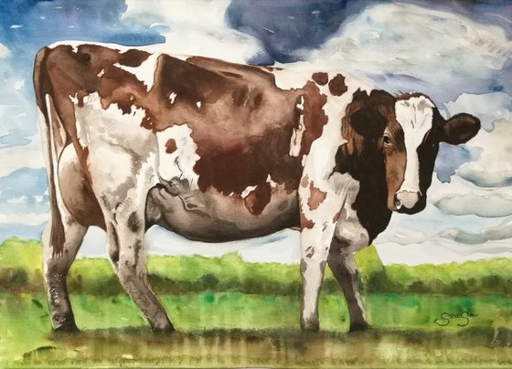 A Day in the Life of a Cow ( on paper ) Free Shipping