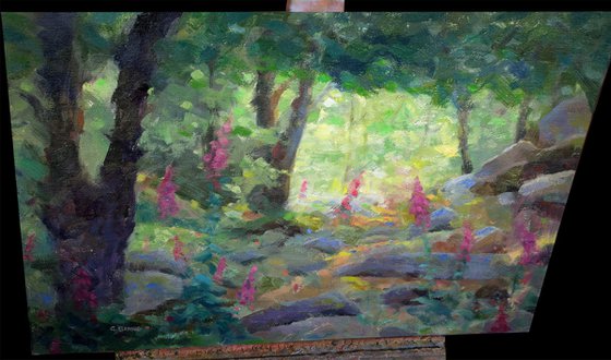 Foxglove Forest Floor bathed in light impressionism