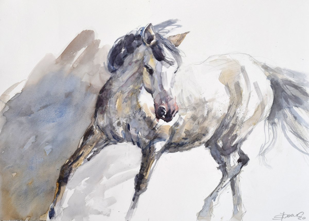 Horse in the trot (70x50) by Goran Zigolic Watercolors