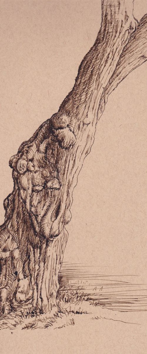 Burled Tree Trunk by John Fleck