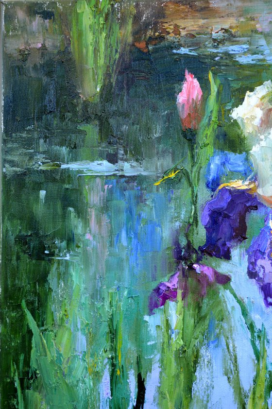 Iris by the pond
