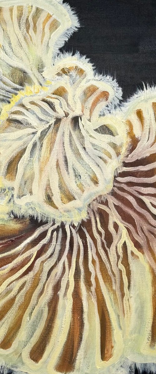 Fungi#007 by Chao Wang