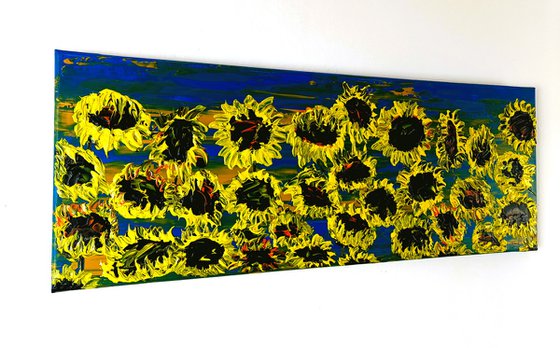 Blooming sunflowers 2