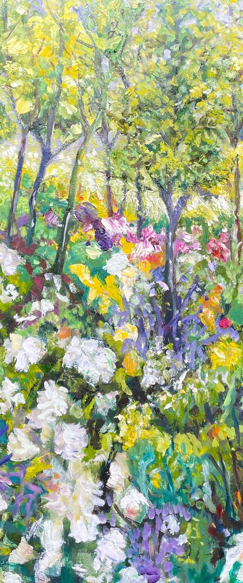 MT. LOFTY AGAPANTHAS by Maureen Finck