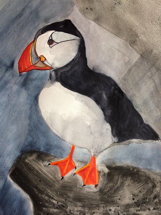 Bird portrait of a puffin  - Gift idea for bird lover