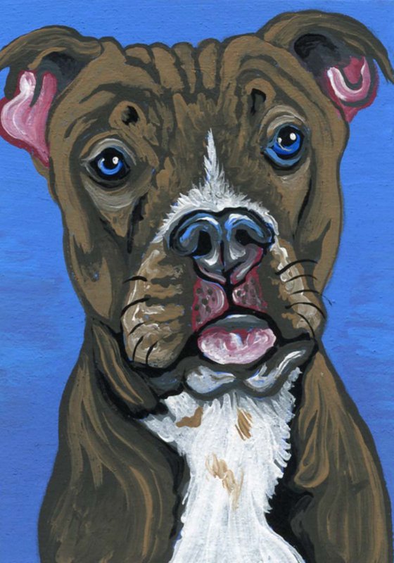 ACEO ATC Original Miniature Painting Blue Nose Pit Bull Pet Dog Art-Carla Smale