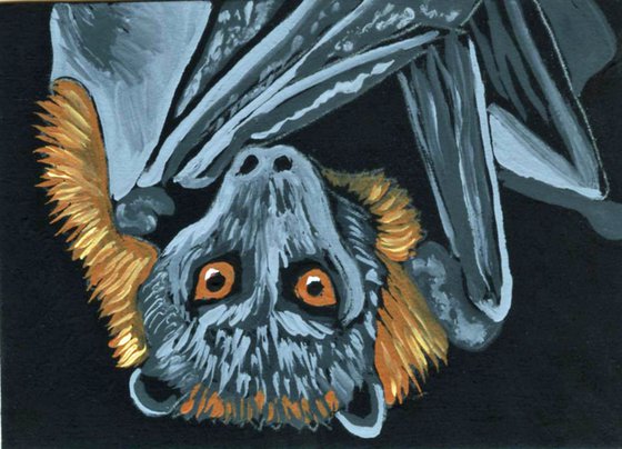 ACEO ATC Original Miniature Painting Bat Wildlife Art-Carla Smale