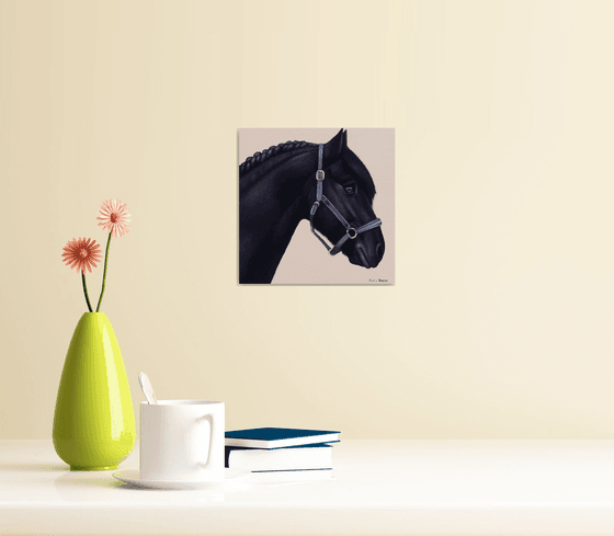 Horse Portrait 100