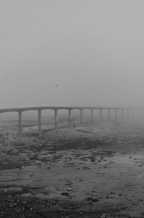 Le pont by Lionel Le Jeune