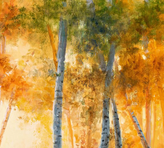 Autumn birch tree forest scene
