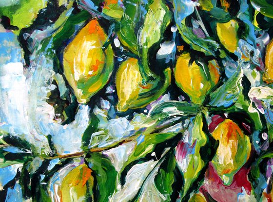 Lemon tree