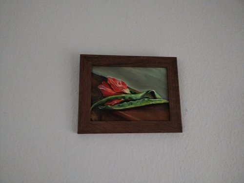Tulip still life by Viktória Déri