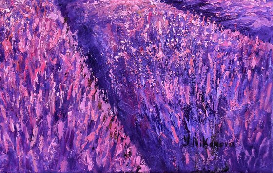 Flight Over Lavender Fields