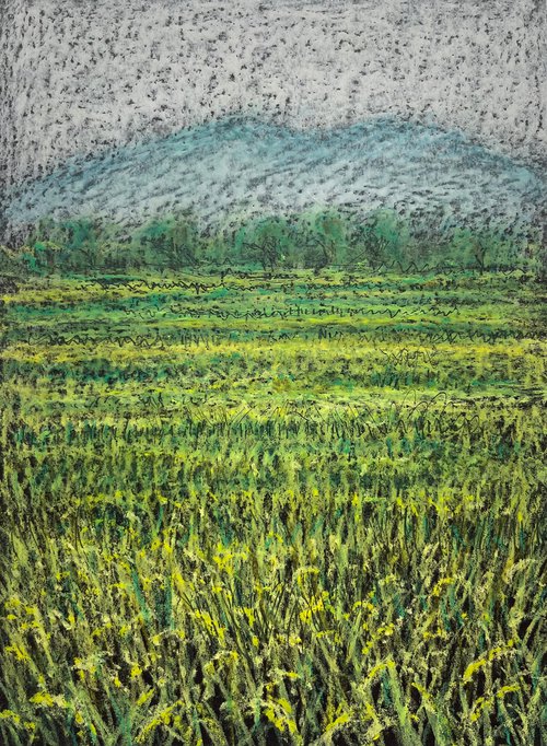Hazy Afternoon Rice Fields by David Lloyd