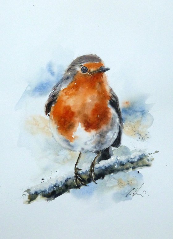 A Winters Robin