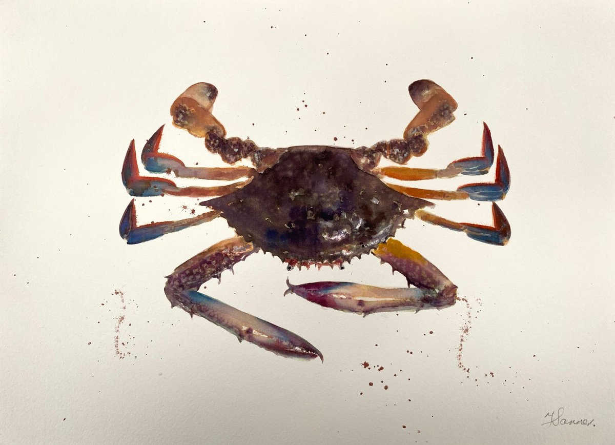 Blue Crab by Teresa Tanner