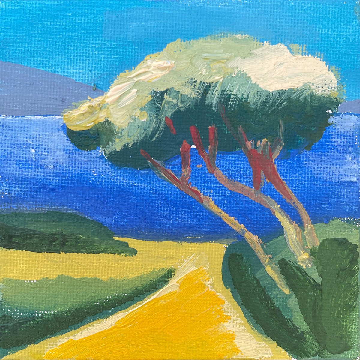 Pine overlooking the Sea - 10x10 cm by Victoria Dael