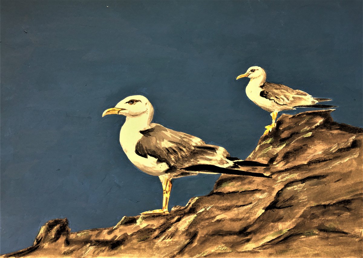 Gulls #1 by Laurence Wheeler