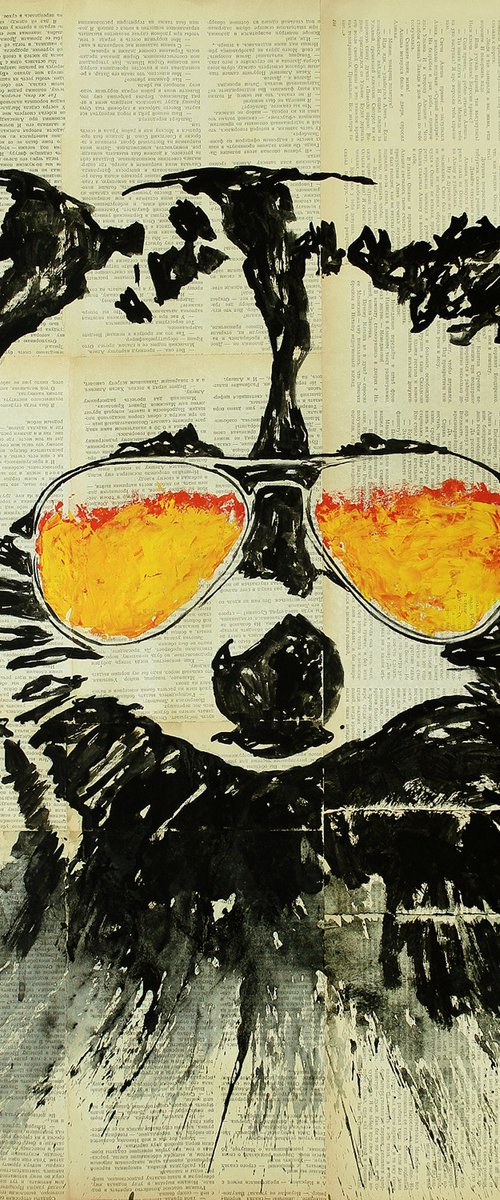 Raccoon. by Marat Cherny