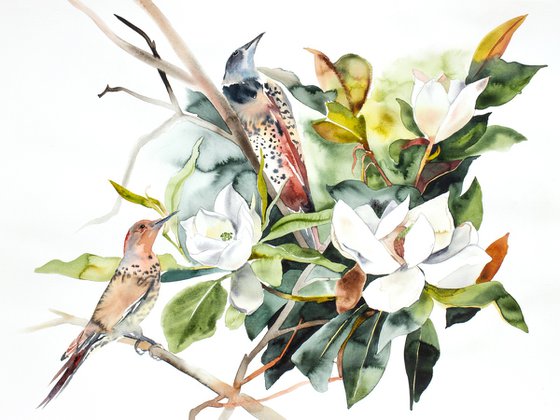 Magnolia and Flickers
