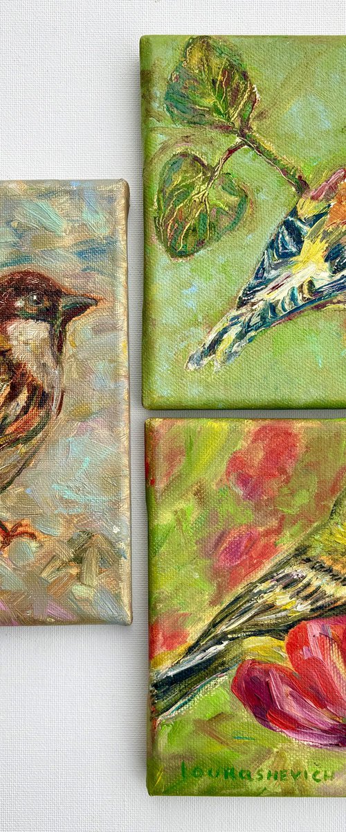 Birds' Stories by Katia Ricci