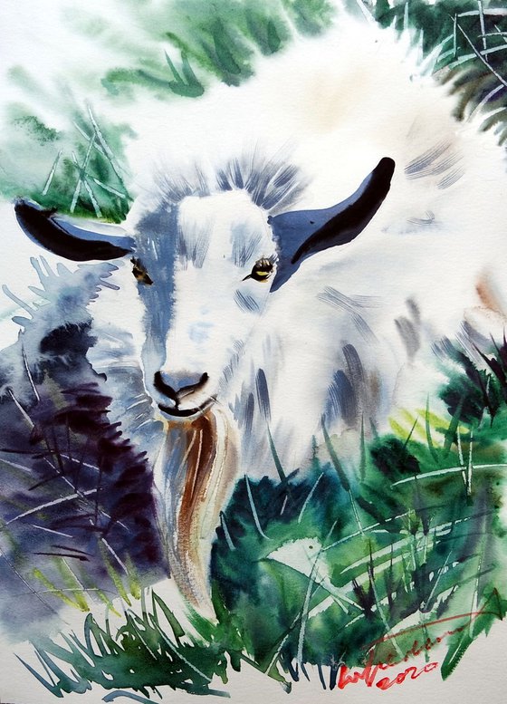 Goat Watercolor Painting, Farm Animal Portrait, Livestock Portrait, Animalist Aquarelle, Goat Painting in Water Colors, Farm House Wall Art Decor