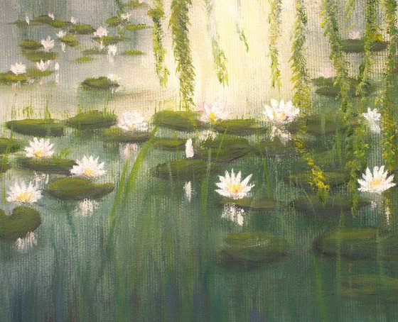 Lily pond