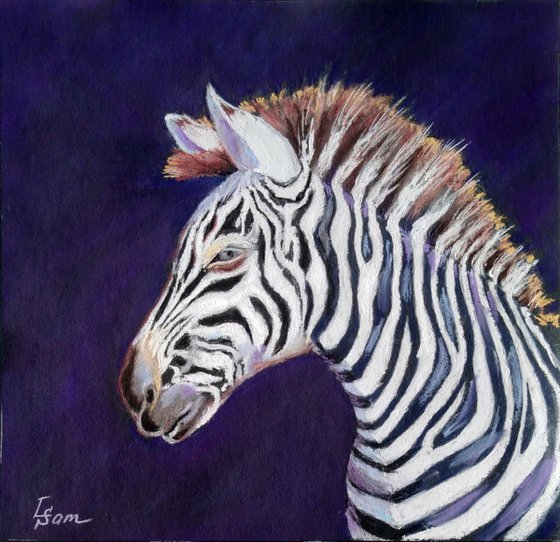 Zebra