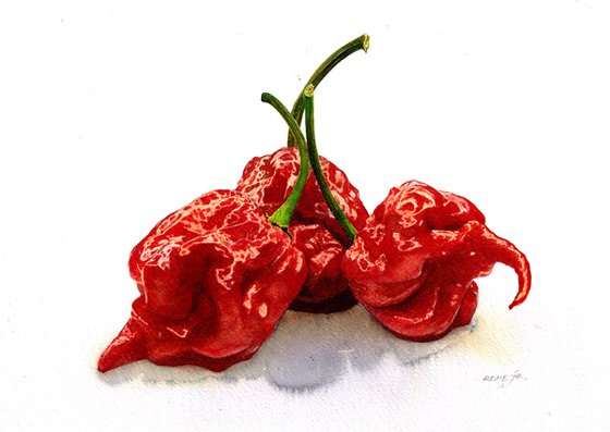 Chilli Pepper Carolina Reaper