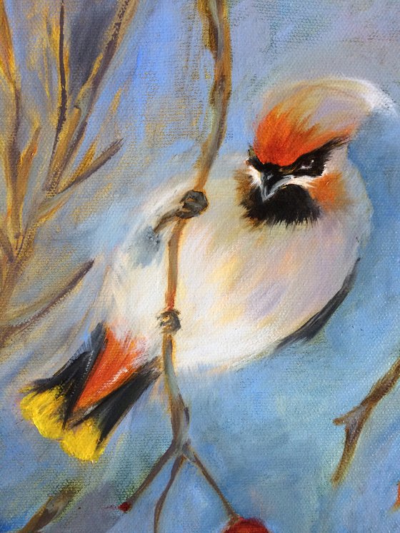 Birds oil painting - Waxwings ellipse canvas - Cozy wall art - Gift idea for bird lover