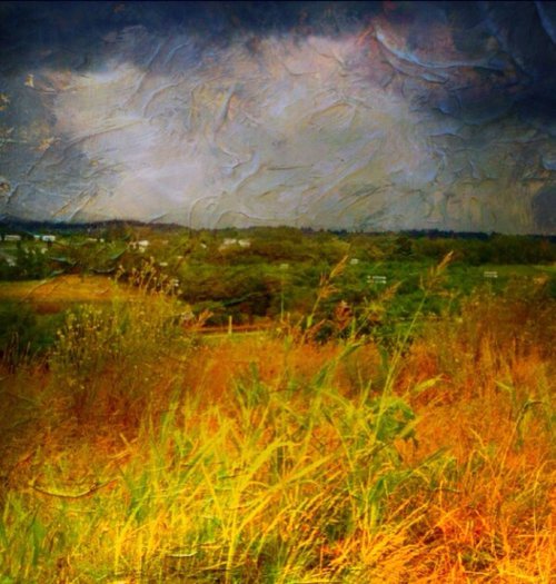 Virginia Fields and Skies by Alison Maloney
