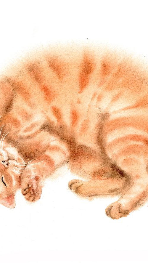 Sleeping Ginger Cat  - Red Cat by Olga Beliaeva Watercolour