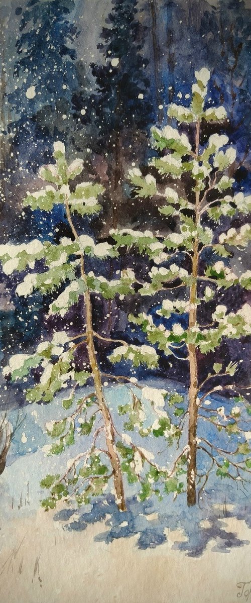Young pine trees under the snow by Olga Goryunova