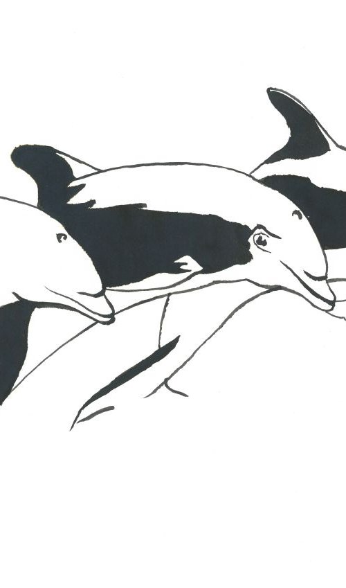 Dolphins I Animal Drawing by Ricardo Machado