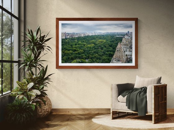 NEW YORK OASIS