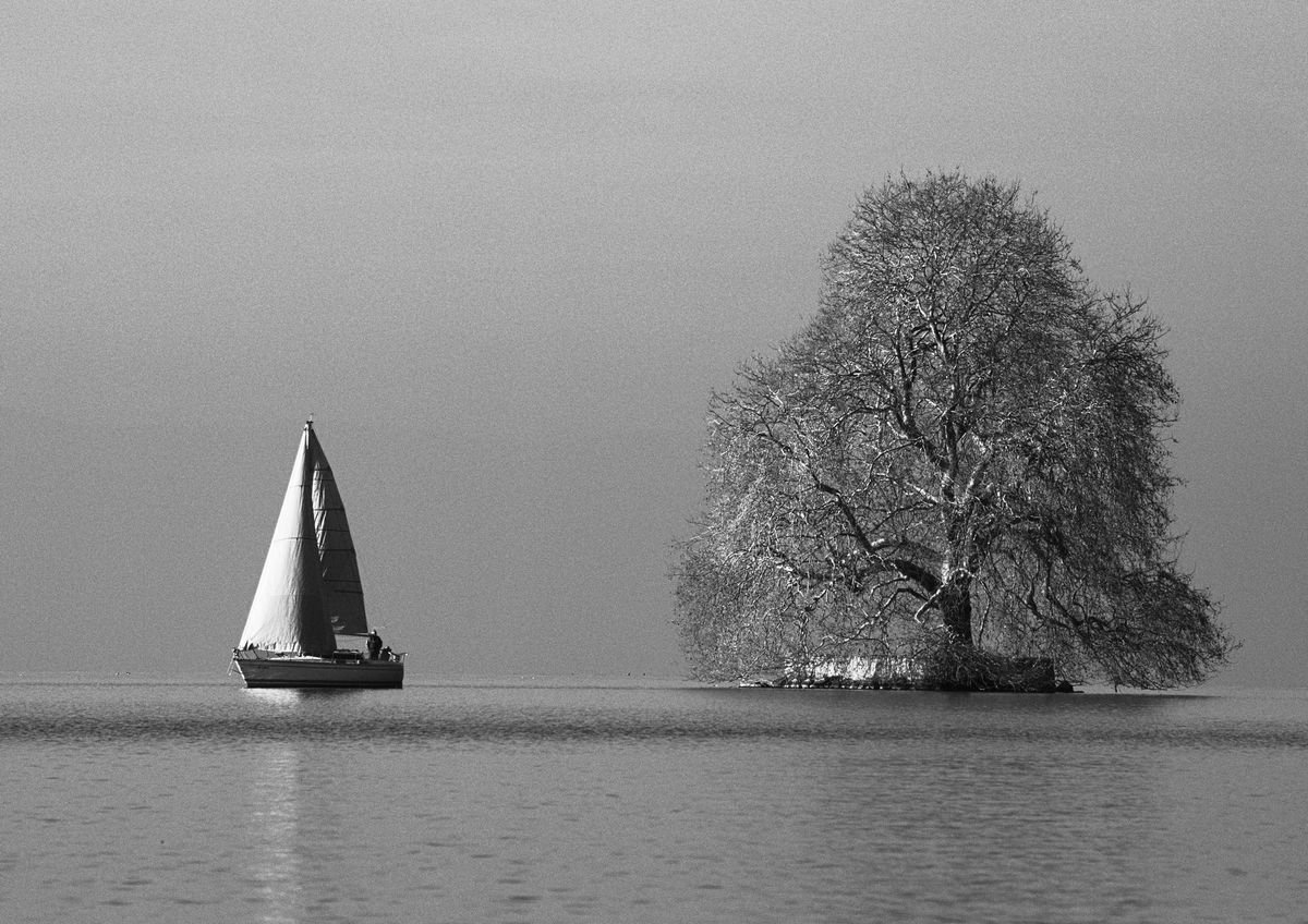 Tree and Boat in Lac Leman by Charles Brabin