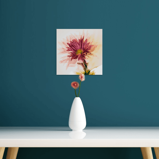 Psychedelic Flowers #7 Limited Edition 1/50 10x10 inch Photographic Print.