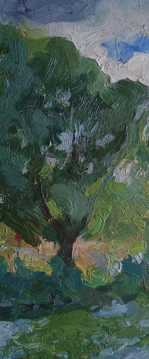 Willow by Vasyl Koval