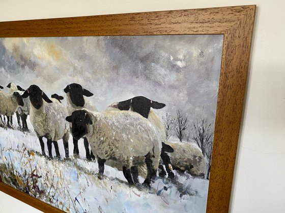 Black Face Sheep Winter framed