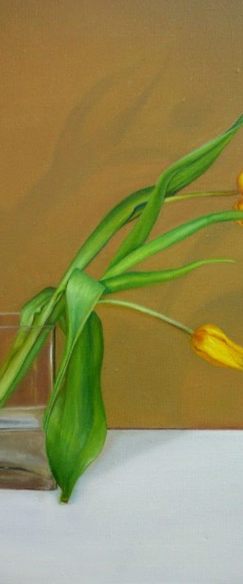 Yellow tulips in vase by Trinidad Ball