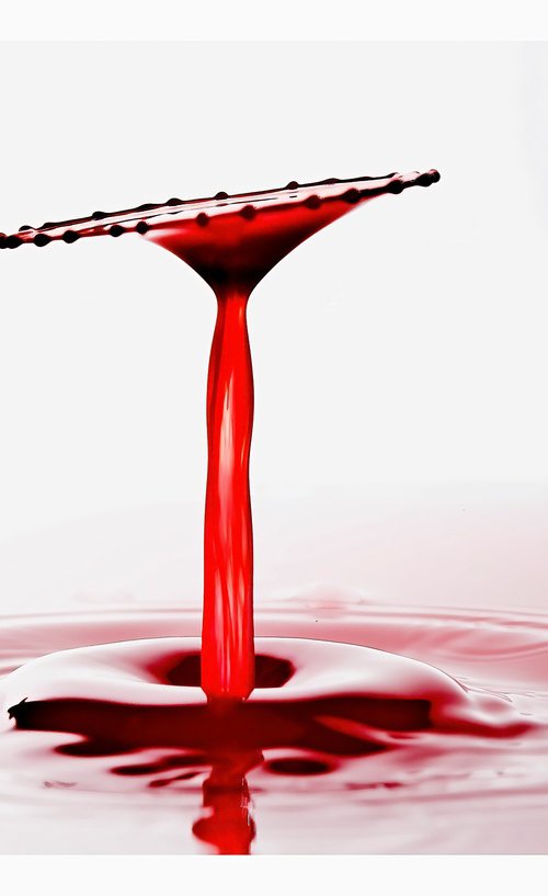 'Crimson Chalice' - Liquid Art Waterdrop Collection by Michael McHugh