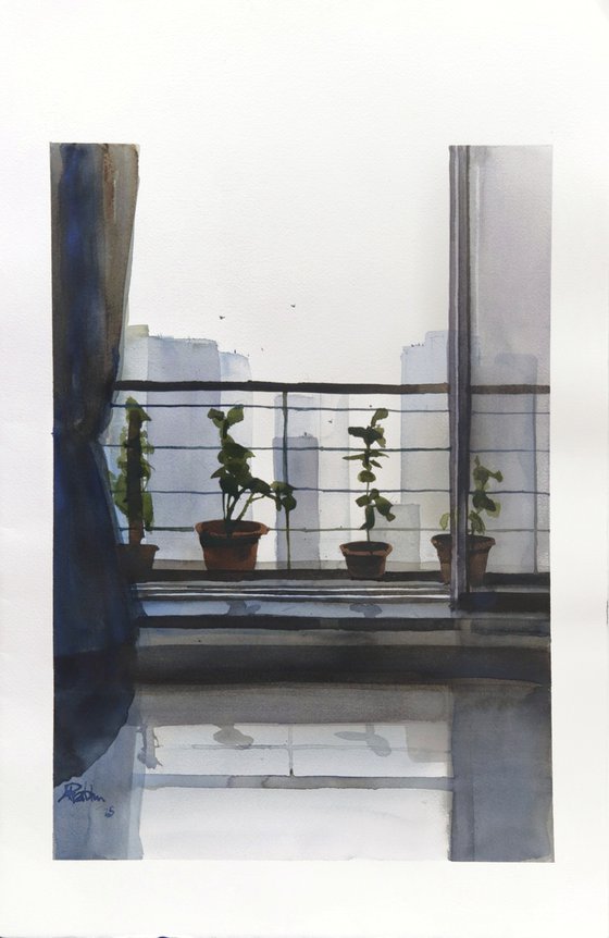 Plantation of solace